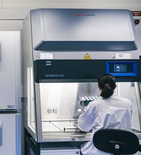 Organoids Lab